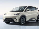 BYD Seagull
