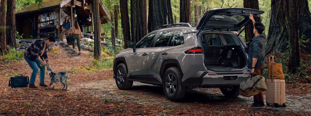 Toyota RAV4 HEV – image 4